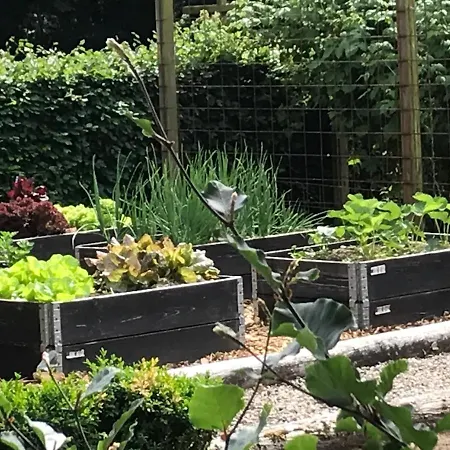 Apartahotel Familiehuis Boysen 4*