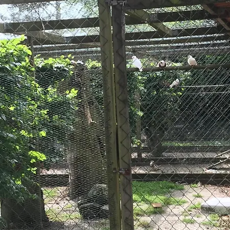 Familiehuis Boysen 4*