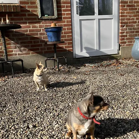 Apartahotel Familiehuis Boysen Ribe