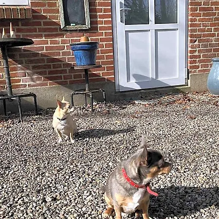 Familiehuis Boysen 4*